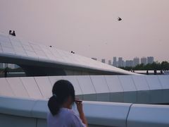 -哈尔滨大剧院