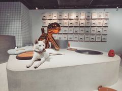 -柴务处·柴犬主题狗咖