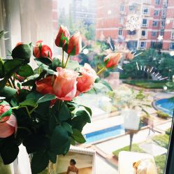 -晋仪瑜伽普拉提馆