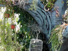 -国家植物园南园