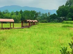 -楠溪江风景名胜区