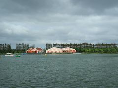 湖面-上海长兴岛郊野公园