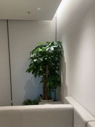 -BR光电保养