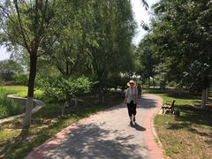 -永定河休闲森林公园