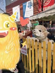 -萌宠亲子动物乐园(槐房万达店)