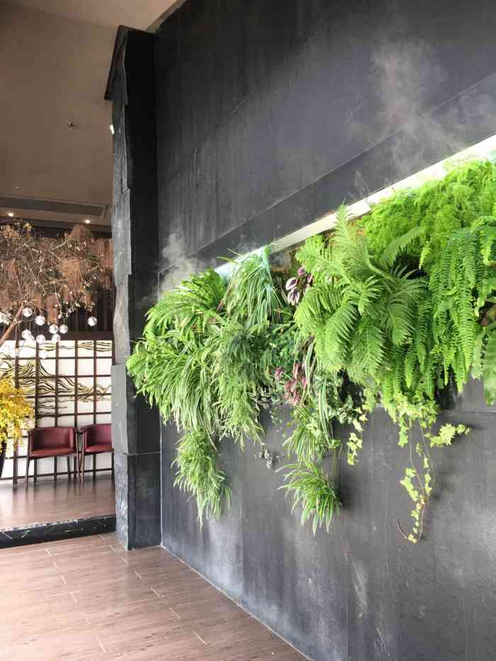 花潮日料艺食馆(宝龙一城店)