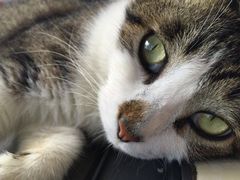 -川里谈·川味小馆(北京路店)