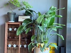 -一叶觅山(半边街店)