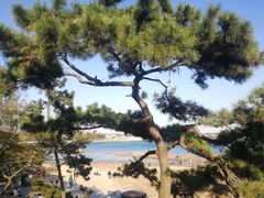 -青岛第二海水浴场