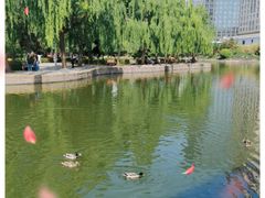 -团结湖公园