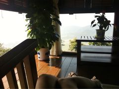 iphone_upload_pic-三亚亚龙湾人间天堂鸟巢度假村