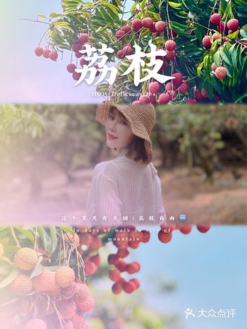 深圳周边游｜这个盛夏与荔枝来场邂逅吧