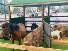 -大族广场Mall&More