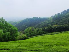 -敬亭山风景名胜区