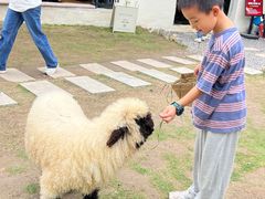 -HERRE·FARM 赫尔露营农场·团建聚会包场