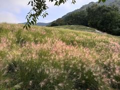 -昆嵛山石门里景区