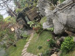 -上海鲜花港