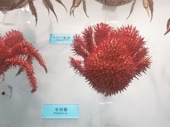 -天津自然博物馆