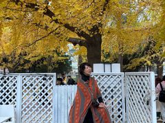 -辽宁大学(崇山校区)