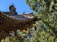 -张掖大佛寺景区