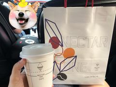 -Nectar One Cafe(勇烈路n1店)