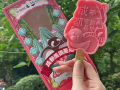 -成都大熊猫繁育研究基地