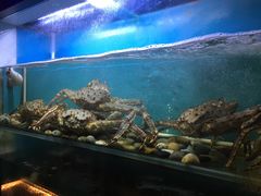 水产区-枫伝料理居酒屋