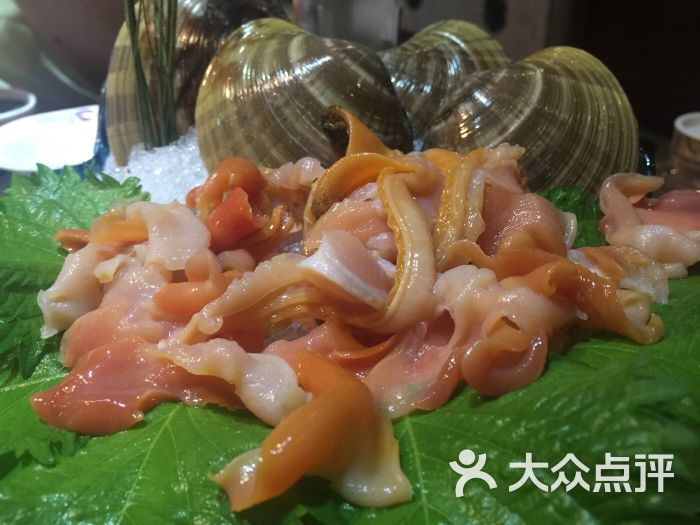 蓝海岸霞浦海鲜_花痴小象