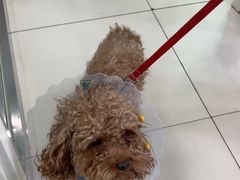 -纳吉亚猫专科动物医院博雅分院