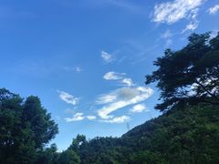 -阳台山森林公园
