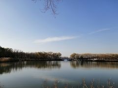 -大兴滨河森林公园