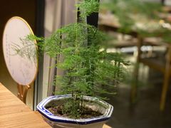 -素慧餐厅(大虹桥店)