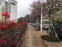 -小南山公园