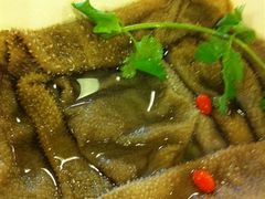 千层肚&nbsp;-蜀九香火锅(彩虹店)