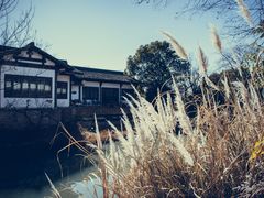 -西溪国家湿地公园