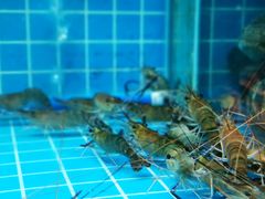 -御龙海鲜火锅(十六浦店)