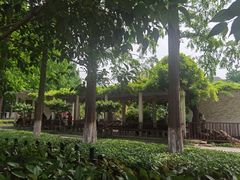 -郑和公园