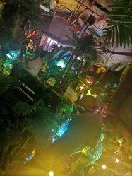 点击看大图 -恐龙探索乐园(磁器口店)