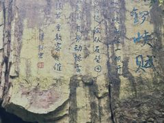 -铁山坪森林公园