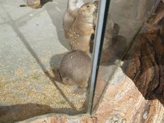 -正佳雨林生态植物园