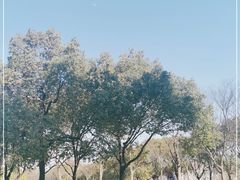 -新江湾城公园