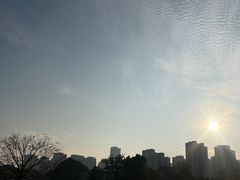 -牛岗山公园