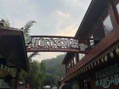 -野象谷景区