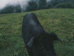 -硗碛藏寨·神木垒景区