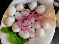 鹌鹑蛋-红鼎坊·老成都火锅(新南门店)