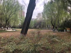 -西安市长乐公园