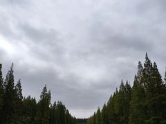 -黄海国家森林公园