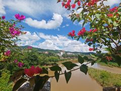 -中国科学院西双版纳热带植物园