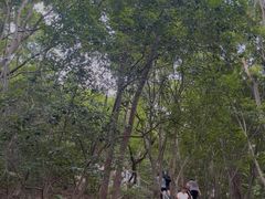 -紫金山山顶公园