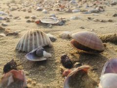 -汕尾巴黎半岛酒店